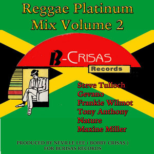 Reggae Platinum Mix, Vol. 2