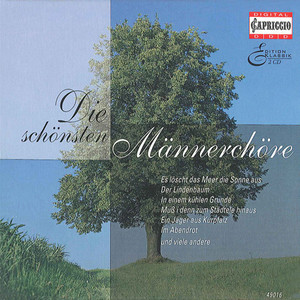 Choral Music (Male Choir) - SILCHER, F. / MENDELSSOHN, Felix / SCHUBERT, F. / BEETHOVEN, L. van / MARSCHNER, H.A. (Die Schonsten Mannerchore)