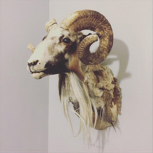 Don't Feel Like Loving You Today