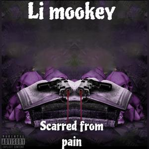 Scarred from pain (Official audio)