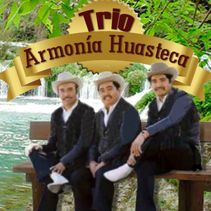 Trio Armonia Huasteca