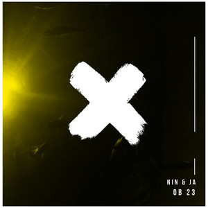 Percussion (Tribalizer Mix)