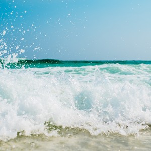 Rolling Forest Rains