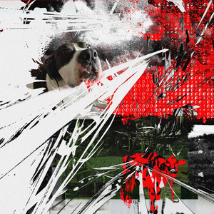 100pre estoy buscándote