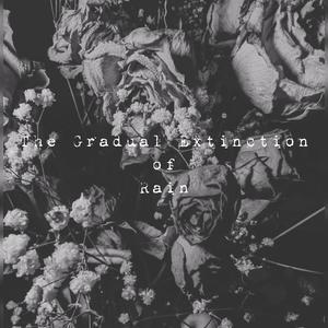 Another Kind of Clay