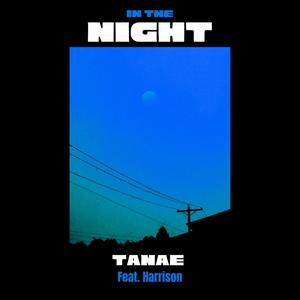 In The Night(feat. Harrison)