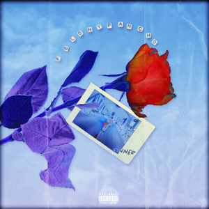 felonypancho - Pain(Outro)