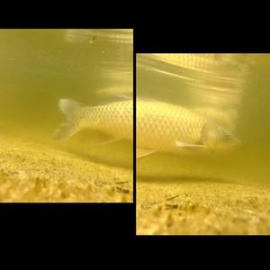 first day (ambient mix)