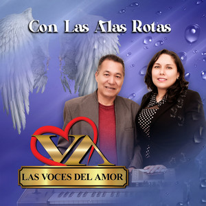 Bodas de plata