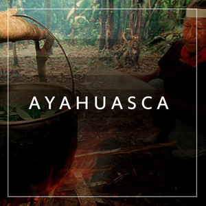 Ayahuasca (Explicit)