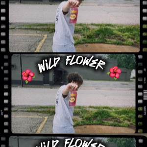 Wild flower (Explicit)