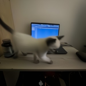 purple substance (Explicit)