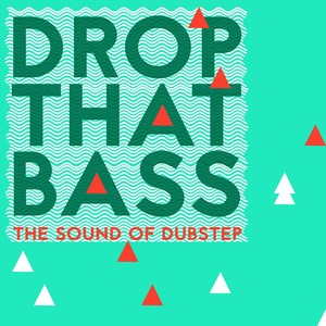 Drop That Bass: The Sound of Dubstep