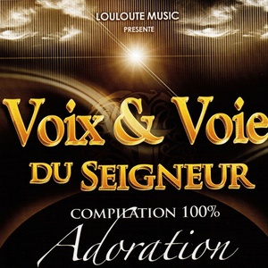 Voix & voie du seigneur, vol. 3 (Compilation 100% adoration)