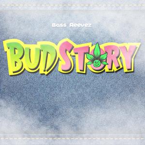 Bud Story