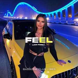 Feel (feat. Liam Ford)