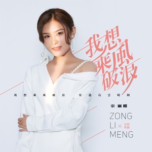 我想乘风破浪 (DJ版伴奏)