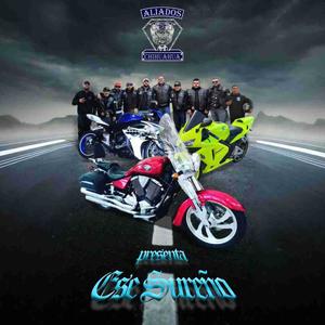 Aliados de Chihuahua