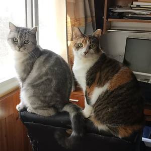 冬日·你
