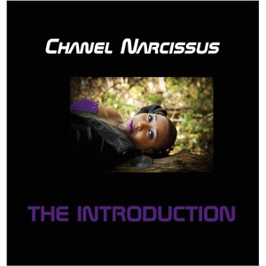 The Introduction (Explicit)