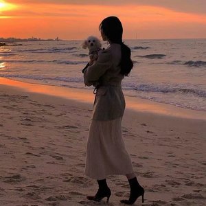 这不是来自红人馆