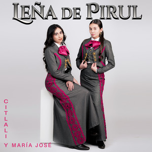 Leña de Pirul