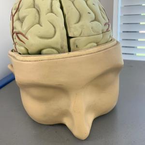 Sturdy REMIX (FettiSoul) (feat. Spenbanz) (Explicit)