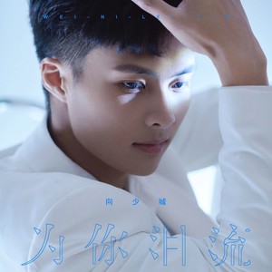 为你泪流 (DJ沈念版)