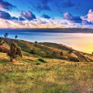 Heaven Spoke That Day