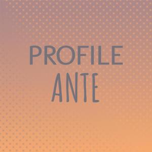 Profile Ante