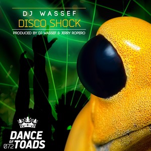 Disco Shock