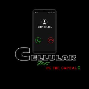 Cellular (feat. Pk the Capital C)