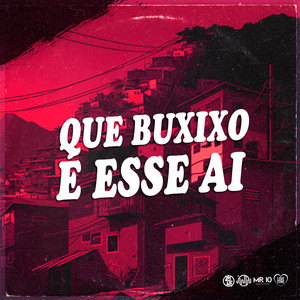QUE BUXIXO É ESSE AI (Explicit)
