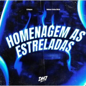 HOMENAGEM AS ESTRELADAS (Explicit)