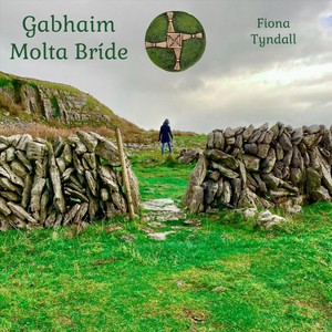 Gabhaim Molta Bríde (feat. Brendan Hayes, Fergal Scahill, Kieran Munnelly & Caoimhe Tyndall)