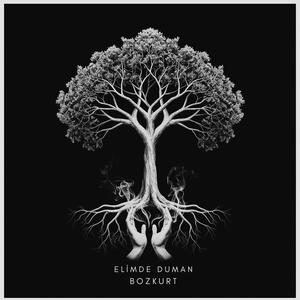 Elimde Duman (Haykırış Versiyonu)