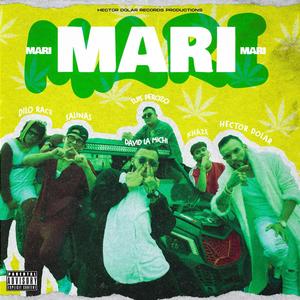 MARI MARI (feat. Khaze, Dilo Race, David la Amichi, Luis Perozo & Salinas) [Explicit]