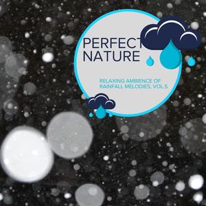 Perfect Nature - Relaxing Ambience of Rainfall Melodies, Vol.5