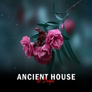 Ancient House