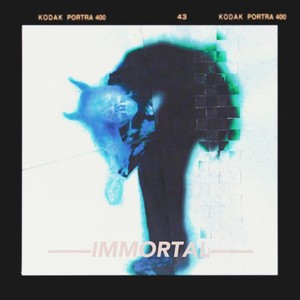 修仙纪（immortal）