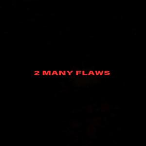 2 Many Flaws (Explicit)