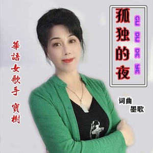 孤独的夜 (女版)