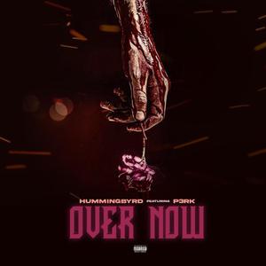 Over Now (feat. P3RK) (Special Version)