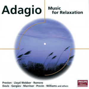 Clarinet Concerto in A Major, K. 622 - II. Adagio