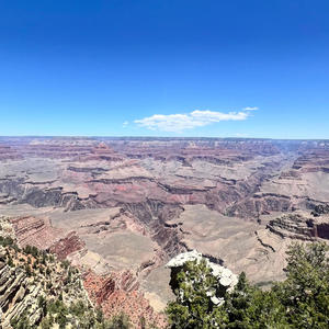 Journey Of A Lifetime