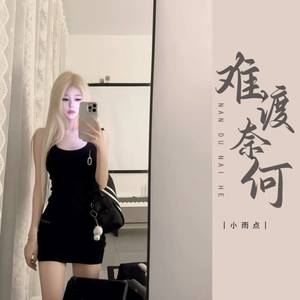 难渡奈何封面