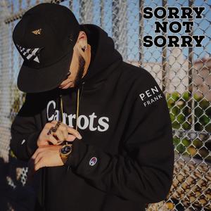 Sorry Not Sorry (Explicit)