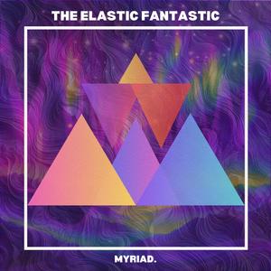 The Elastic Fantastic