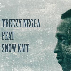 Treezy (17 SYLI) (feat. SnowKMT) (Explicit)
