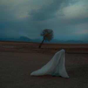 What do you want from me (?) [feat. Larmisa]